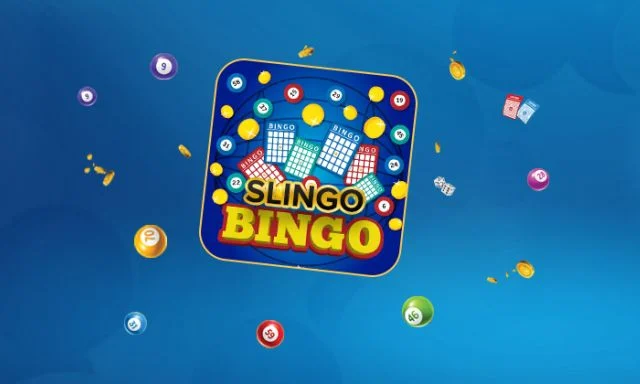 Bingo vs Slots